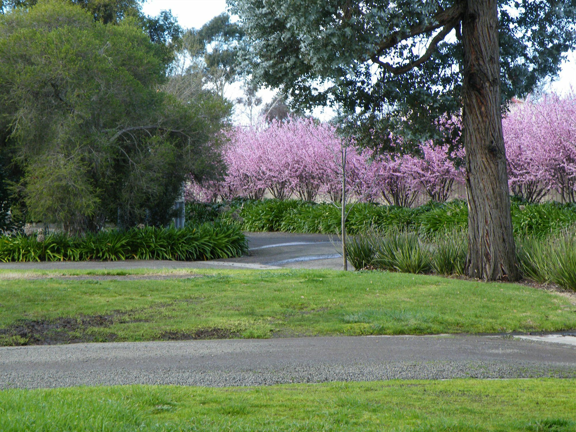 Lake Hamilton Motor Village And Caravan Park Exterior photo